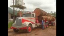 1966 Model Zee Bros Kenworth Loads Three Giant Logs
