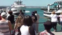 People Narrowly Escaped Death as Whale Watching Cruise Ship Crashes into Dock