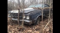 1970 L78 Chevelle Found Out There in the Wood of Arkansas with Animals Living in It!